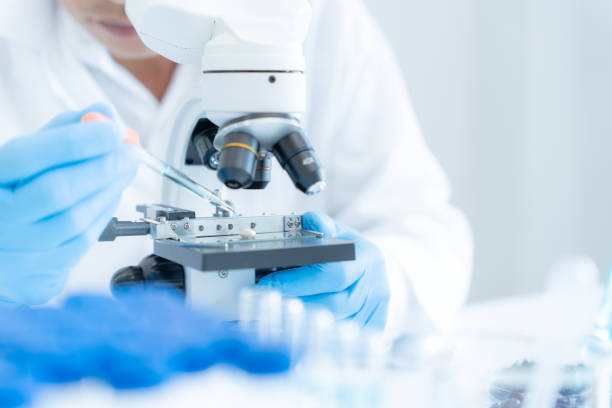 Laboratoire de recherche